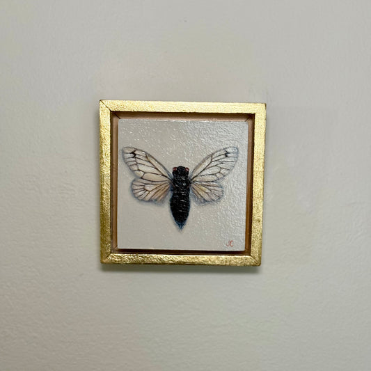 Cicada Oil Painting