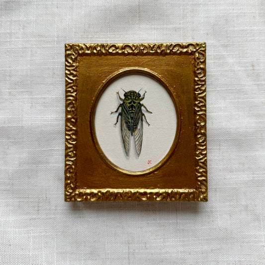 Dog-Day Cicada Miniature Oil Painting