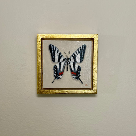 Zebra Swallowtail Butterfly Oil Painting