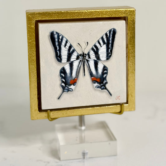 Zebra Swallowtail Butterfly Oil Painting