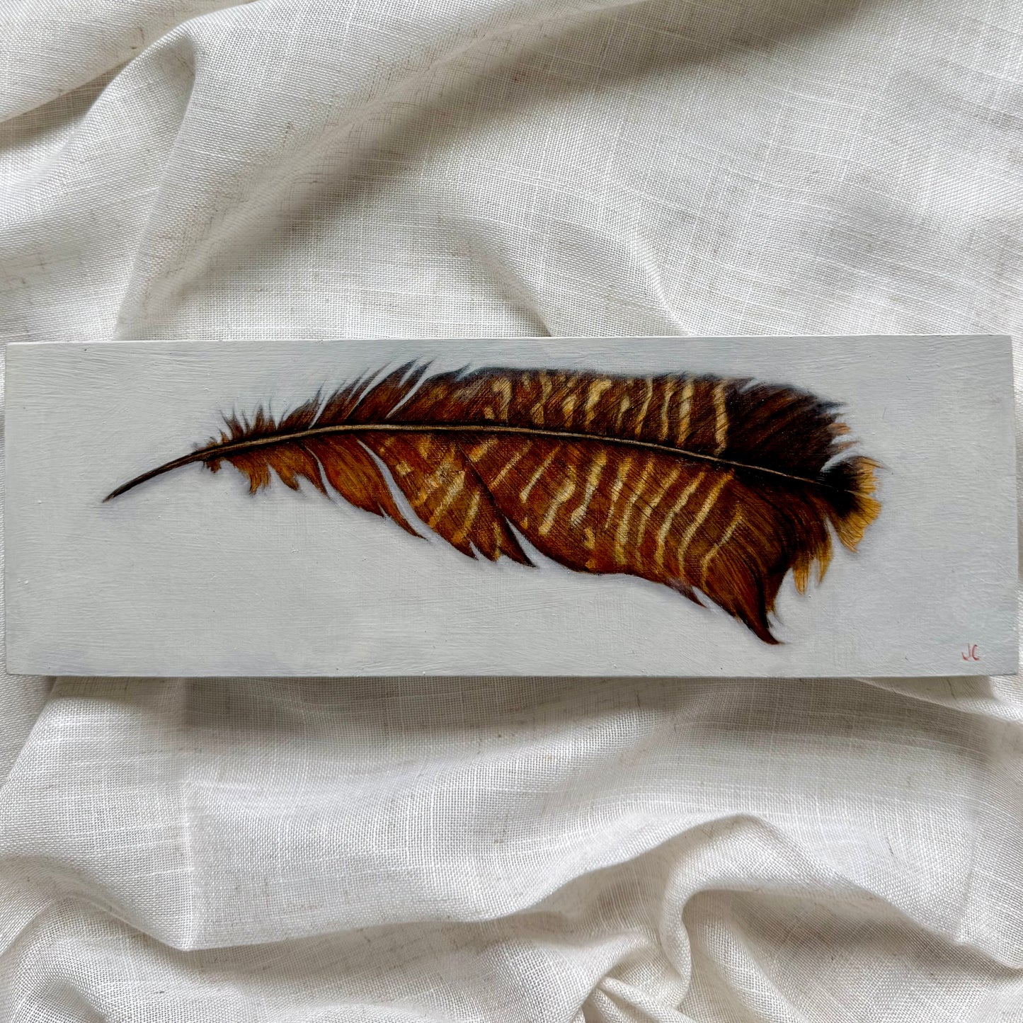 Eastern Wild Turkey Feather Oil Painting