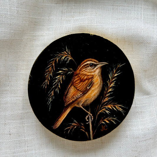 Carolina Wren Oil Painting