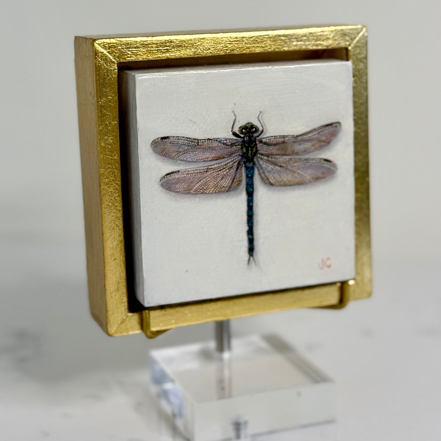 Southern Hawker Dragonfly Oil Painting