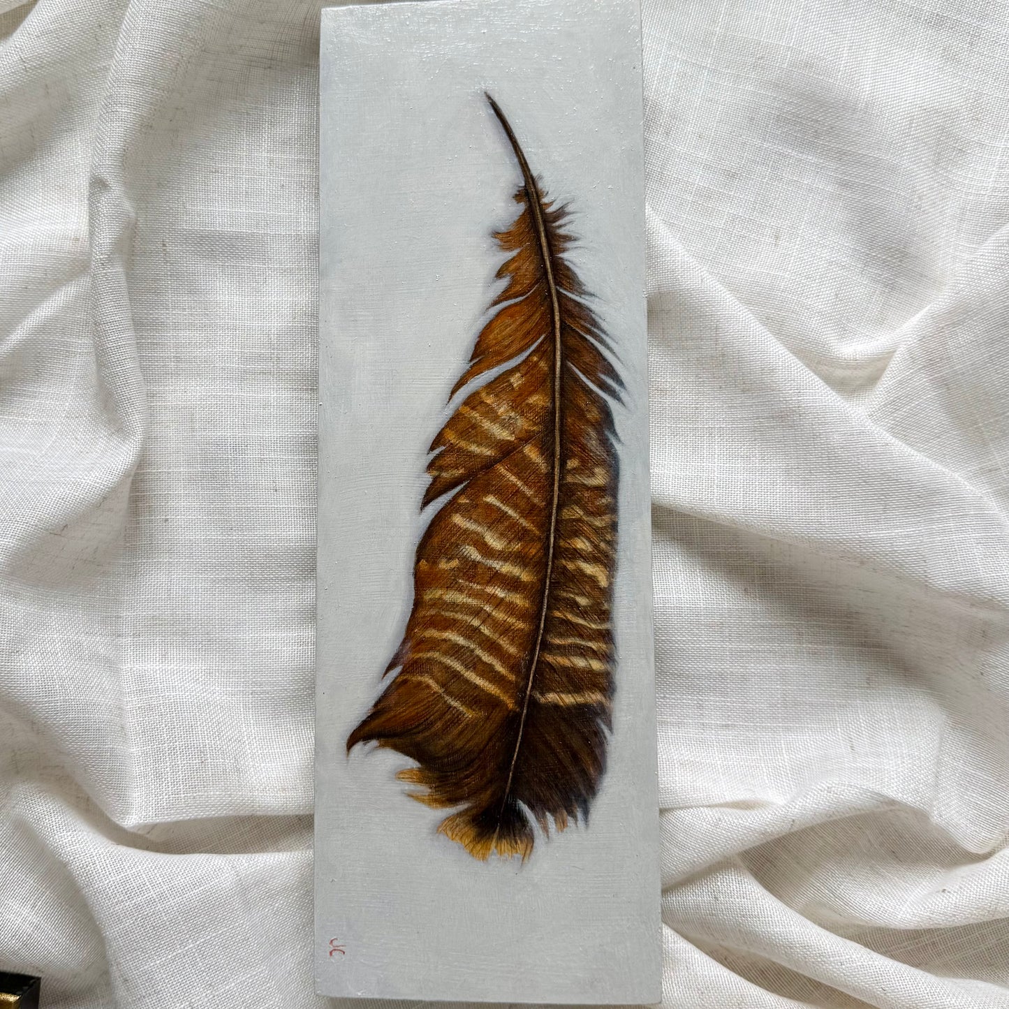 Eastern Wild Turkey Feather Oil Painting